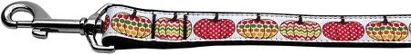 Pretty Pumpkins Nylon Dog Leash 3/8 inch wide 6ft Long