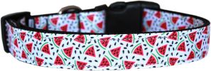 Watermelon Nylon Dog Collar XS