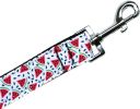 Watermelon Nylon Pet Leash 5/8in by 4ft