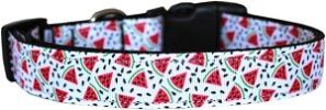 Watermelon Nylon Dog Collar XS