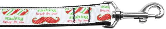 Stashing through the Snow Nylon Dog Leash 5/8 inch wide 4ft Long